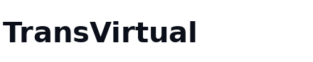 TransVirtual